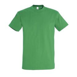 T-Shirt Homme Imperial Gap