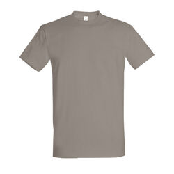 T-Shirt Homme Imperial Gap
