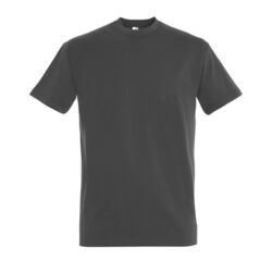 T-Shirt Homme Imperial Gap