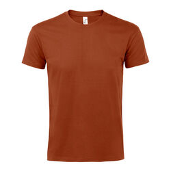 T-Shirt Homme Imperial Gap