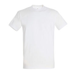 T-Shirt Homme Imperial Gap