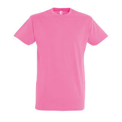T-Shirt Homme Imperial Gap