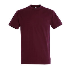 T-Shirt Homme Imperial Gap