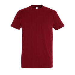 T-Shirt Homme Imperial Gap