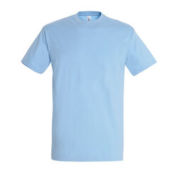 T-Shirt Homme Imperial Gap