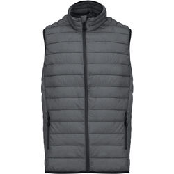Bodywarmer Homme Doudoune L&eacute;g&egrave;re Gap