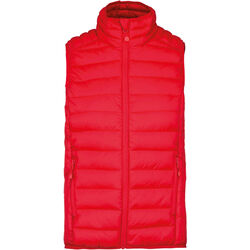 Bodywarmer Homme Doudoune L&eacute;g&egrave;re Gap