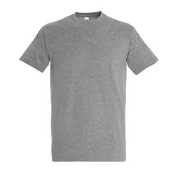 T-Shirt Homme Imperial Gap