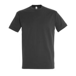 T-Shirt Homme Imperial Gap