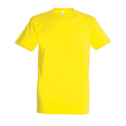 T-Shirt Homme Imperial Gap